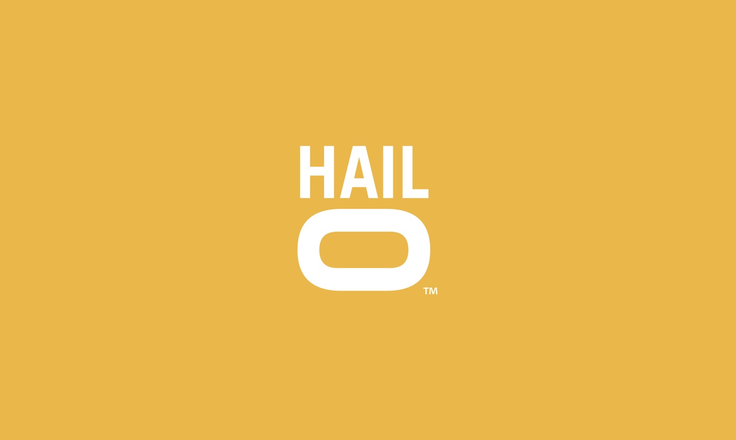 The Hailo logo